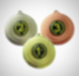 medals cover pic_edited.jpg